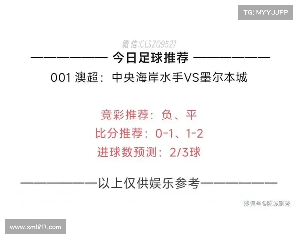 法甲赛事盘口分析与投注推荐助你精准把握胜负走势